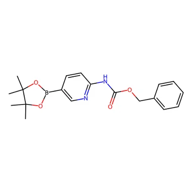 cplabsafety-3202607140400111170957