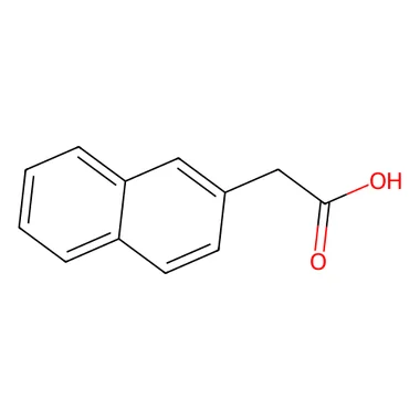 cplabsafety-3202607140403501171209