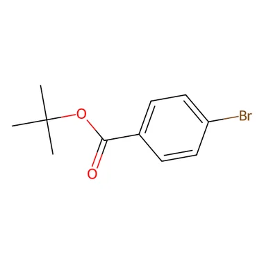 cplabsafety-3202607140421211172494