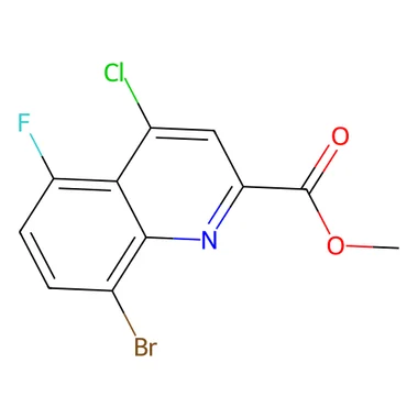 cplabsafety-3202607140516531176890