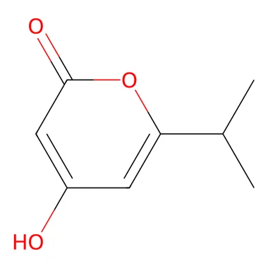 cplabsafety-3202607140518151176995