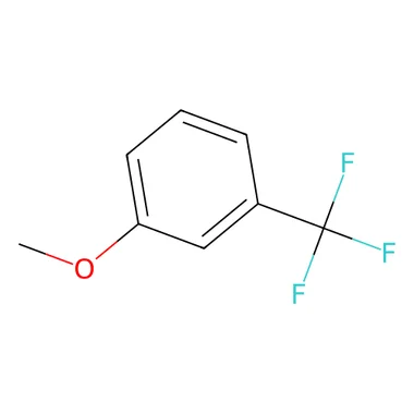 cplabsafety-3202607140621001181463
