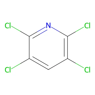 cplabsafety-3202607140635071182601