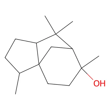 cplabsafety-3202607140704561185345