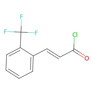 cplabsafety-3202607140716031186426