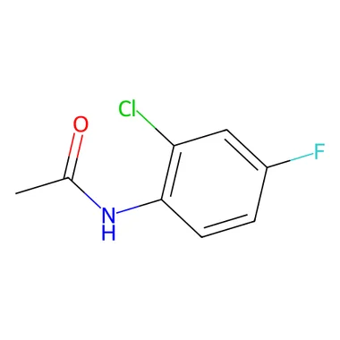 cplabsafety-3202607140813371191919