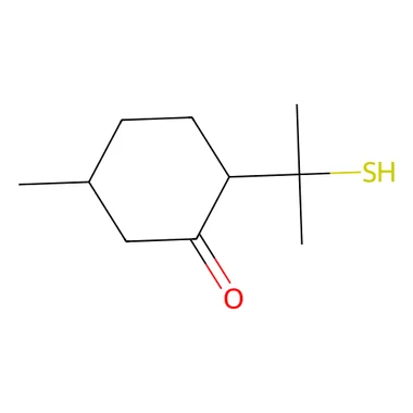 cplabsafety-3202607140838001194161