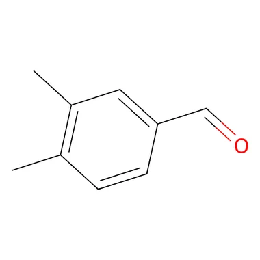 cplabsafety-3202607140859401196013