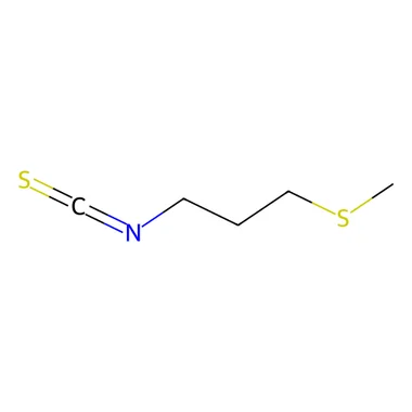 cplabsafety-3202607140936421198618