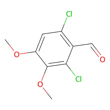 cplabsafety-3202607141022171202360