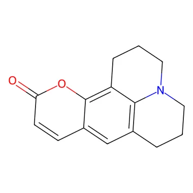 cplabsafety-3202607141126021207762
