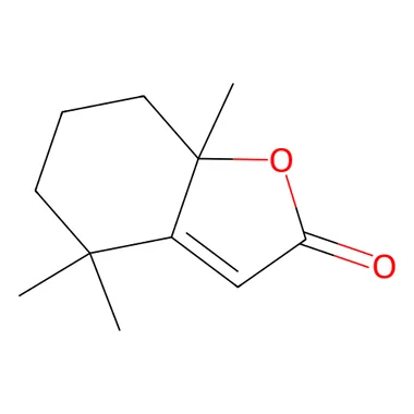 cplabsafety-3202607141238171212844