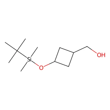 cplabsafety-3202607141252251214094