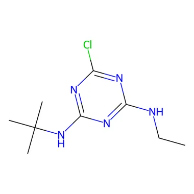 cplabsafety-3202607141259031214706