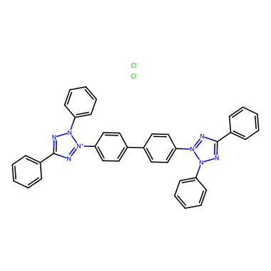 cplabsafety-3202607141339041217918
