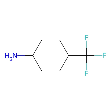 cplabsafety-3202607141356161219465