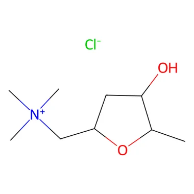 cplabsafety-3202607141421231221955