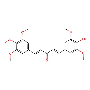 cplabsafety-3202607141436411223390