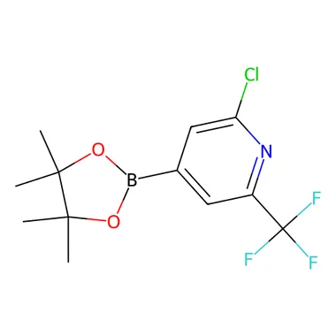cplabsafety-3202607141442501224010