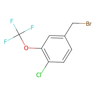 cplabsafety-3202607141510061226657
