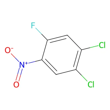 cplabsafety-3202607141516361227343
