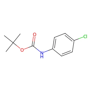 cplabsafety-3202607141528141228425