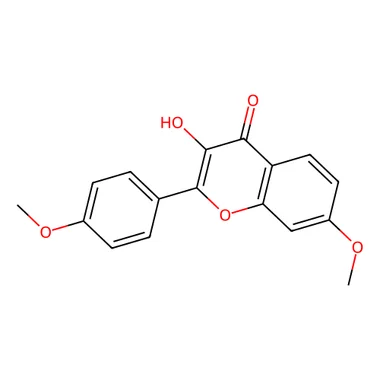 cplabsafety-3202607141726431239269