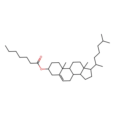 cplabsafety-3202607141738111240456