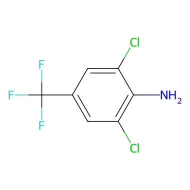 cplabsafety-3202607142136121266344