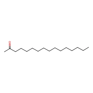 cplabsafety-3202607142223011272863