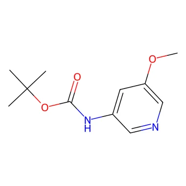 cplabsafety-3202607142224301273090