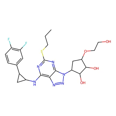 cplabsafety-3202607142242271275575