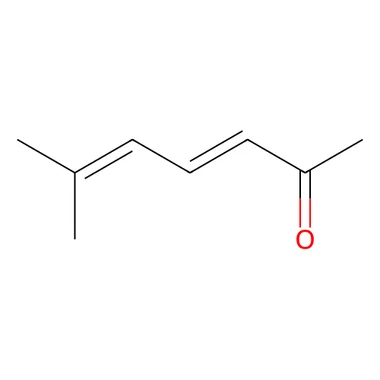 cplabsafety-3202607142256261278117