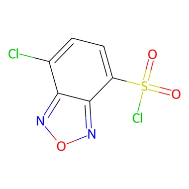 cplabsafety-3202607142312051280873