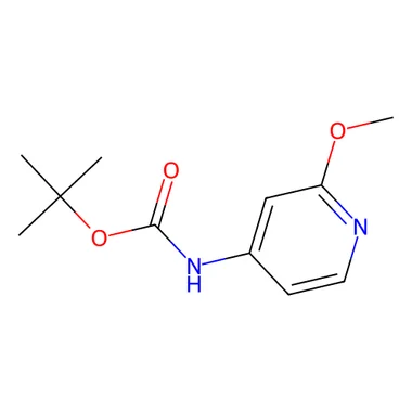 cplabsafety-3202607150012311289169