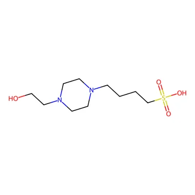 cplabsafety-3202607150019311290084