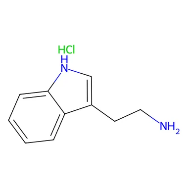 cplabsafety-3202607150116381297361