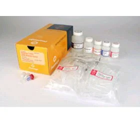 dabos-120260712020443895616