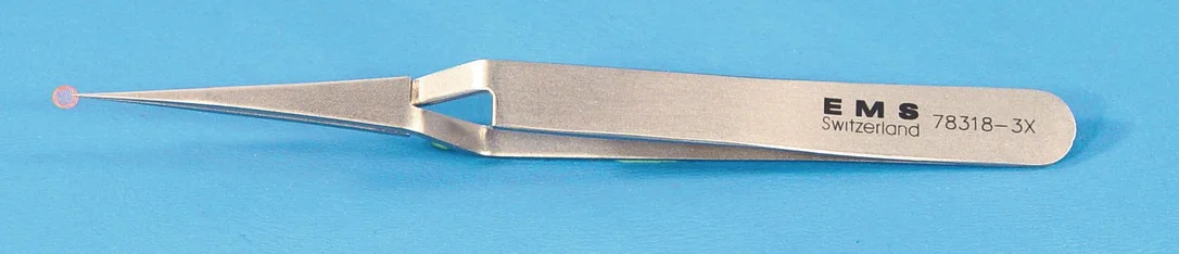dabos-120260712031603901554