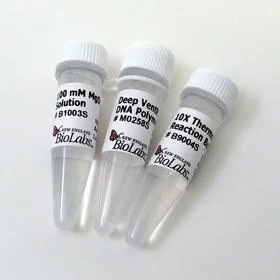 dabos-1202607130453061057519