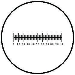 dabos-1202607130626071062921