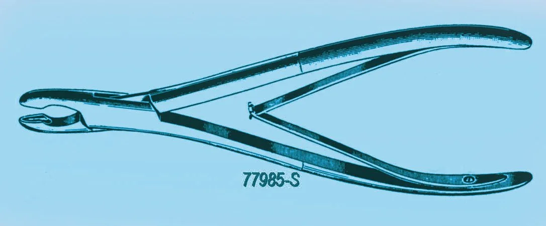 dabos-1202607131722321112308