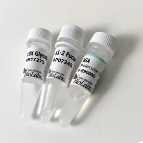 dabos-1202607132137151139564