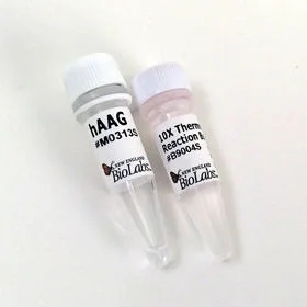 dabos-1202607132137261139593