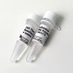 dabos-1202607140123121157269