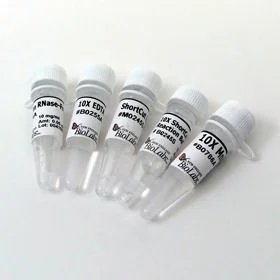 dabos-1202607140123421157303