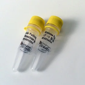 dabos-1202607140126551157531