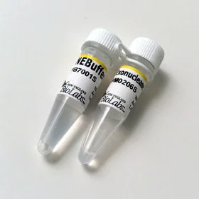 dabos-1202607140128301157635