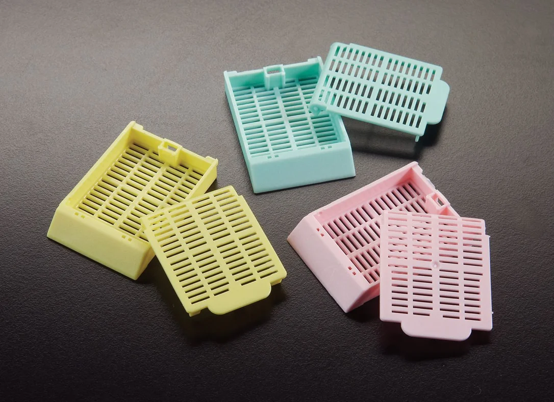 dabos-1202607140151151159164