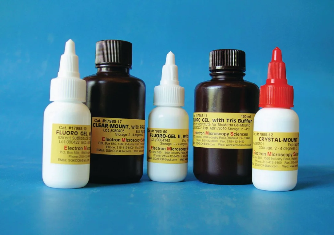 dabos-1202607140157551159838